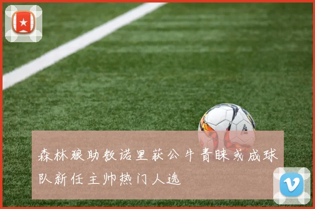 森林狼助教诺里获公牛青睐或成球队新任主帅热门人选